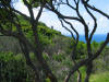 Capo di Muro - Tour Gnoise