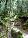 Chemin